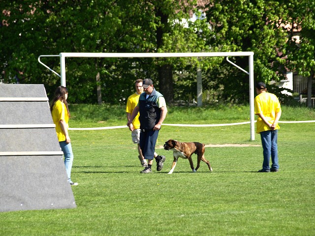 www.atibox.net * www.euroboxer.eu * www.boxergenealogia.eu